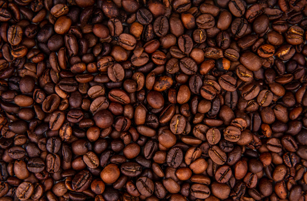 Premium Kenyan coffee beans ready for export